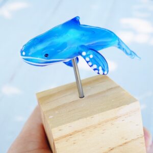 Baleine en pré-commande